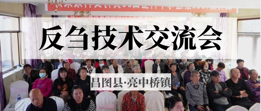 昌圖縣亮中橋鎮(zhèn)反芻技術交流會圓滿成功！