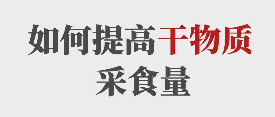 做到這5點提高育肥牛的干物質(zhì)采食量！